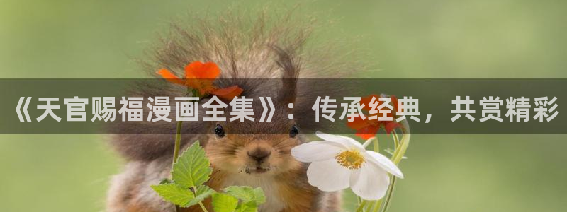 香蕉漫画网站：《天官赐福漫画全集》：传承经典，共赏精彩
