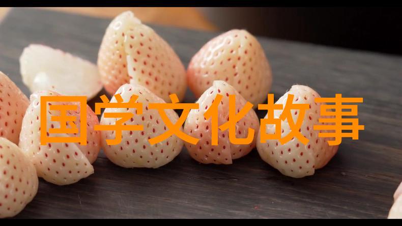 楚材晋用
