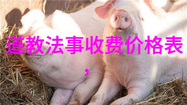 深山寻访道教文化遗存