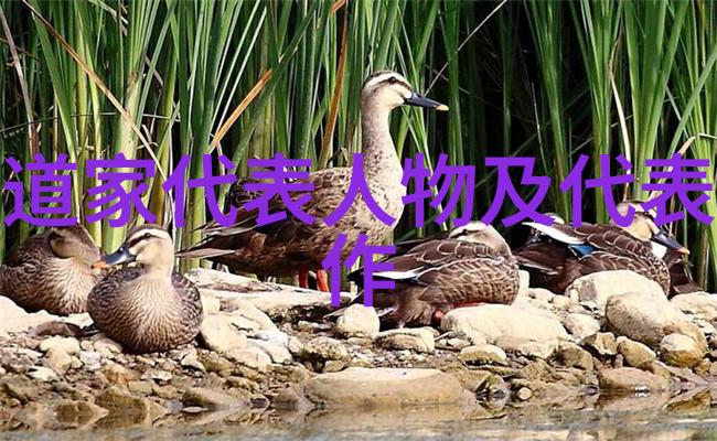 河南省开封道教圣地的历史文化传承
